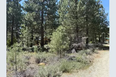 93 Juniper Road, Chilcoot, CA 96105 - Photo 23