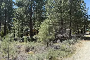 93 Juniper Rd, Chilcoot, CA 96105 - Photo 23