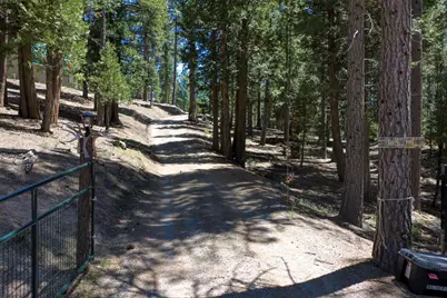 1301 Ringtail Court, Clio, CA 96106 - Photo 31