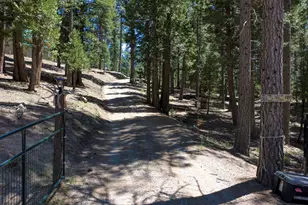 1301 Ringtail Ct, Clio, CA 96106 - Photo 31