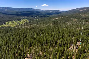 1301 Ringtail Ct, Clio, CA 96106 - Photo 25