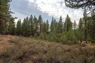 Xxx Taylor Avenue, Portola, CA 96122 - Photo 9
