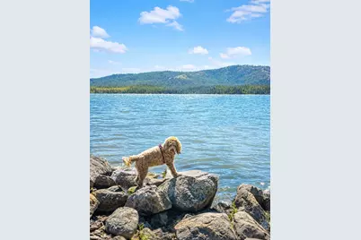 1341 Peninsula Drive, Lake Almanor, CA 96137 - Photo 29