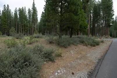 762 Redtail Loop, Clio, CA 96106 - Photo 3