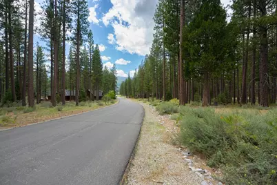 573 Bobcat Trail, Clio, CA 96106 - Photo 3