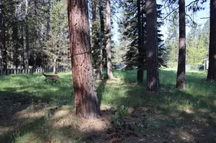 162 Pineleaf Dr, Meadow Valley, CA 95956 - Photo 21
