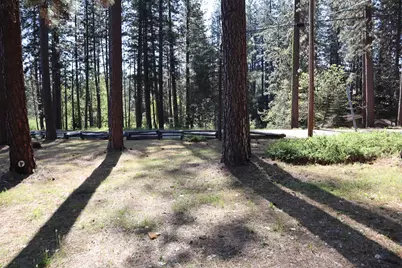 162 Pineleaf Drive, Meadow Valley, CA 95956 - Photo 19