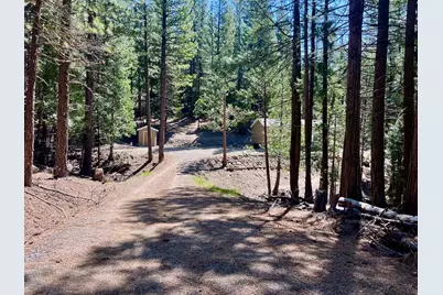 955 Shady Lane, Clio, CA 96106 - Photo 7