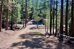 955 Shady Ln, Clio, CA 96106 - Photo 7
