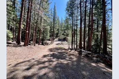 955 Shady Lane, Clio, CA 96106 - Photo 29