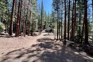 955 Shady Ln, Clio, CA 96106 - Photo 29