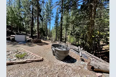 955 Shady Lane, Clio, CA 96106 - Photo 37