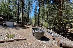 955 Shady Ln, Clio, CA 96106 - Photo 37