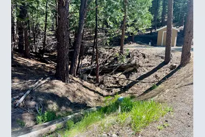 955 Shady Lane, Clio, CA 96106 - Photo 33