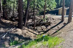 955 Shady Ln, Clio, CA 96106 - Photo 33