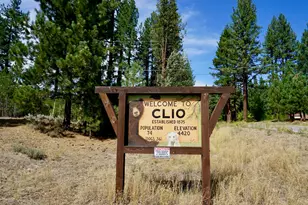 955 Shady Ln, Clio, CA 96106 - Photo 45