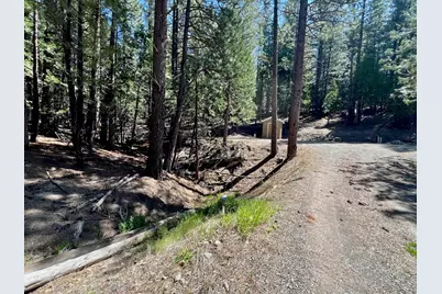 955 Shady Lane, Clio, CA 96106 - Photo 31