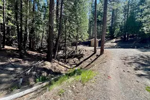 955 Shady Ln, Clio, CA 96106 - Photo 31