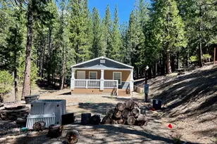 955 Shady Ln, Clio, CA 96106 - Photo 9