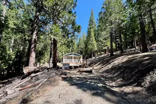955 Shady Ln, Clio, CA 96106 - Photo 39