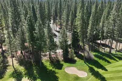 166 Black Bear Trail, Clio, CA 96106 - Photo 33