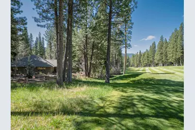 166 Black Bear Trail, Clio, CA 96106 - Photo 29