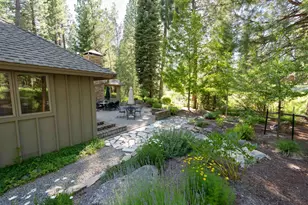 166 Black Bear Trail, Clio, CA 96106 - Photo 25