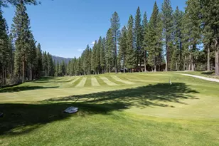 166 Black Bear Trail, Clio, CA 96106 - Photo 31