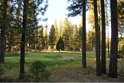44 Black Bear Trail #VI, Clio, CA 96106 - Photo 1