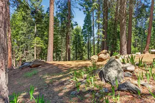 124 Marion Trail, Lake Almanor, CA 96020 - Photo 25
