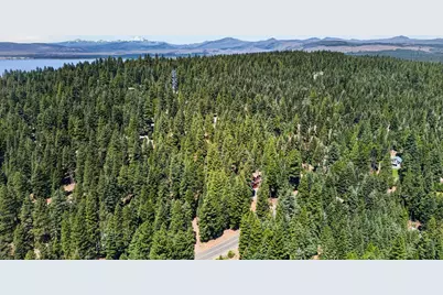 647 E Mountain Ridge Road, Lake Almanor, CA 96137 - Photo 19