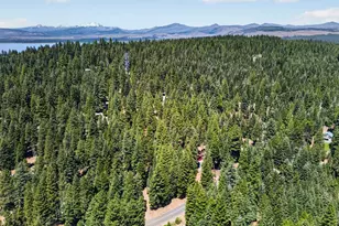 647 E Mountain Ridge Rd, Lake Almanor, CA 96137 - Photo 19