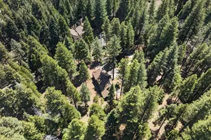 647 E Mountain Ridge Rd, Lake Almanor, CA 96137 - Photo 23