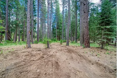 58374 Gill Ranch Road, Cromberg, CA 96103 - Photo 11