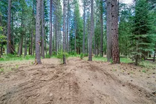 58374 Gill Ranch Rd, Cromberg, CA 96103 - Photo 11