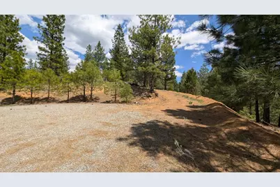 115 Cedar Ridge Road, Portola, CA 96122 - Photo 3