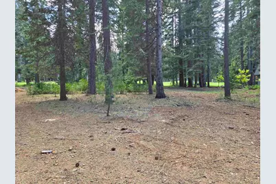 254 Lake Almanor West Drive, Chester, CA 96020 - Photo 1