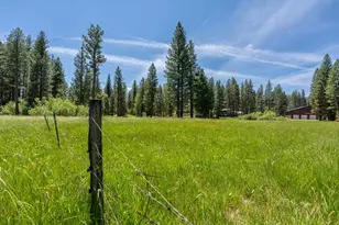 97 Main St, Calpine, CA 96124 - Photo 15