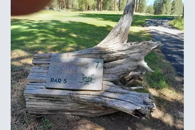 1175 Great Spirit #16, Portola, CA 96122 - Photo 19