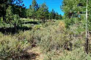 1175 Great Spirit, Portola, CA 96122 - Photo 1