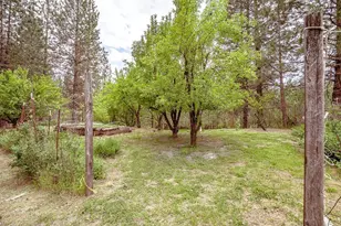 862 Willow Way, Greenville, CA 95947 - Photo 45