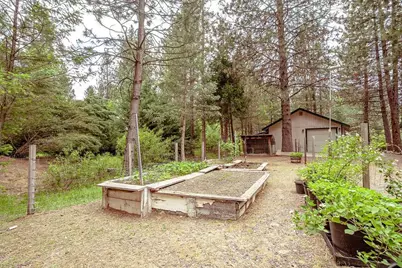 862 Willow Way, Greenville, CA 95947 - Photo 25