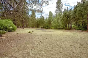 862 Willow Way, Greenville, CA 95947 - Photo 43