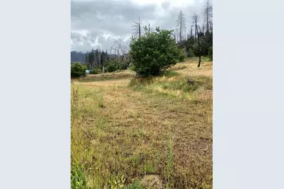 520 Main Street, Greenville, CA 95947 - Photo 1