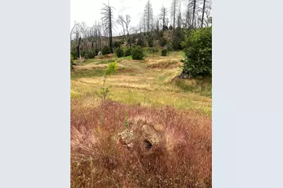 520 Main Street, Greenville, CA 95947 - Photo 3