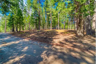954 Red Fox Road, Clio, CA 96106 - Photo 17