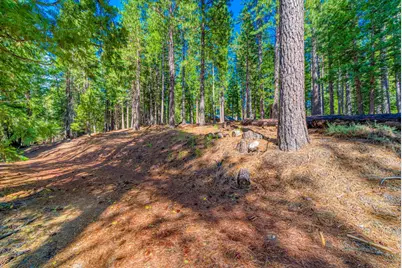 954 Red Fox Road, Clio, CA 96106 - Photo 5