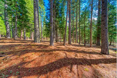 954 Red Fox Road, Clio, CA 96106 - Photo 11
