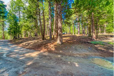 954 Red Fox Road, Clio, CA 96106 - Photo 15