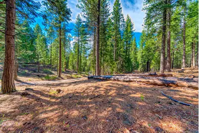 954 Red Fox Road, Clio, CA 96106 - Photo 9